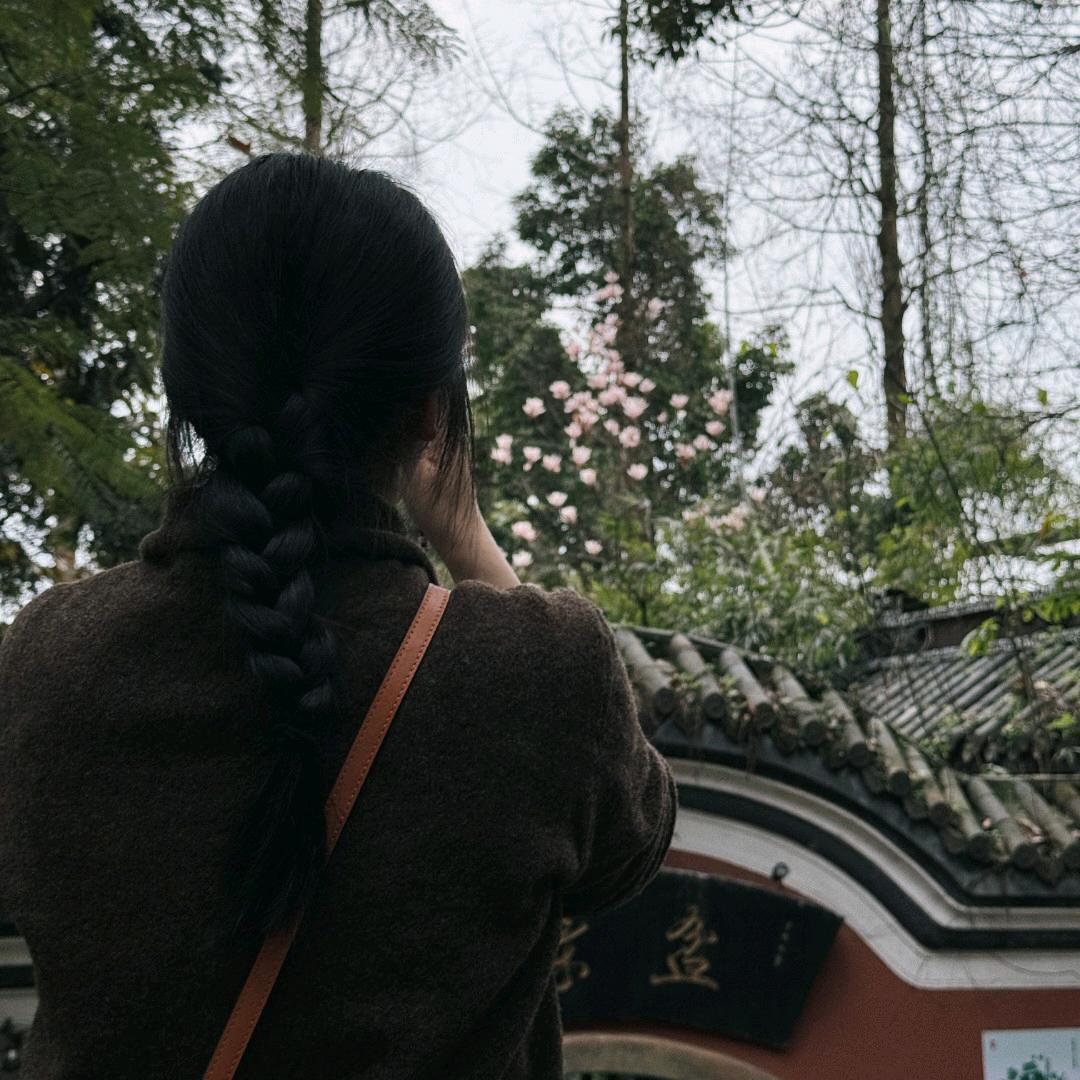 婷婷啊(🧪备孕版)