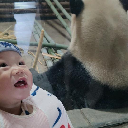 石头🪨的小宝宝