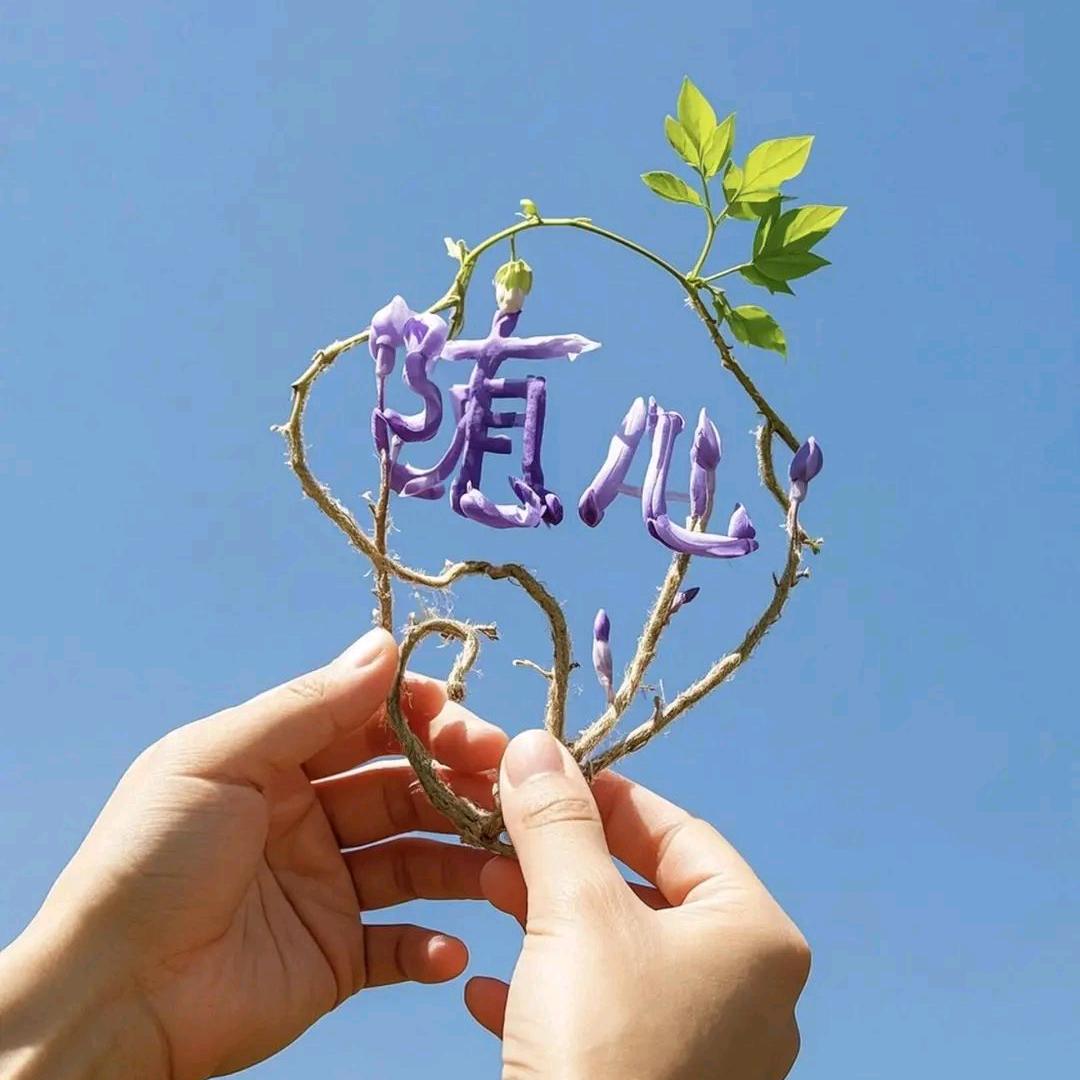 🦋ღ᭄随心💞ღ᭄.