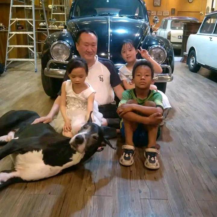 姜部家 NGKC美系大丹犬舍