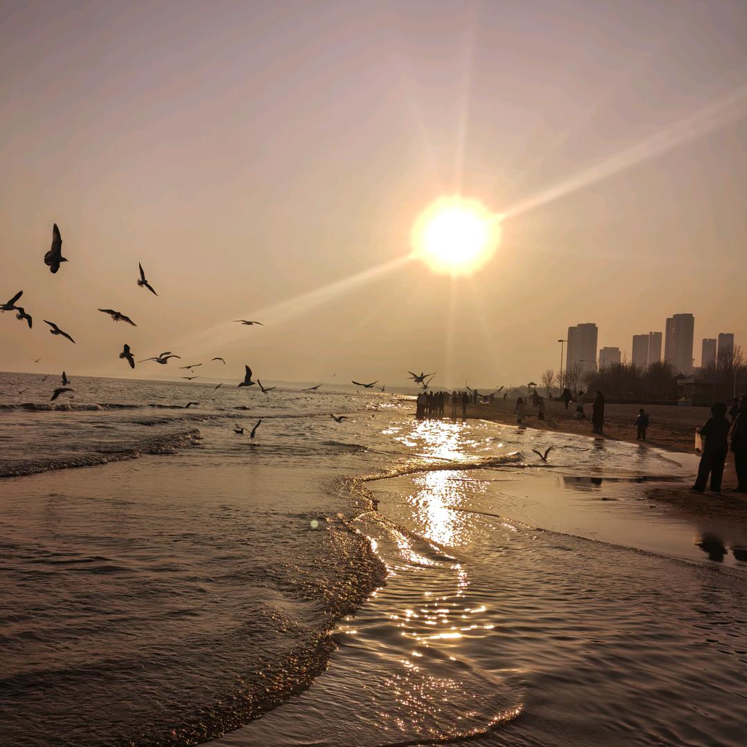 阿摩岛主《倾听师》