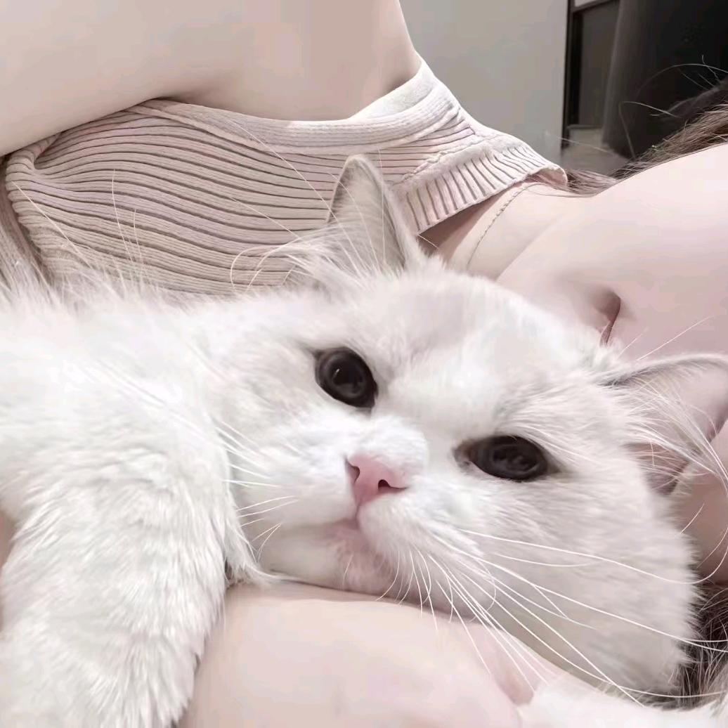 多次拒绝刘亦菲