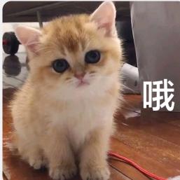 安然.