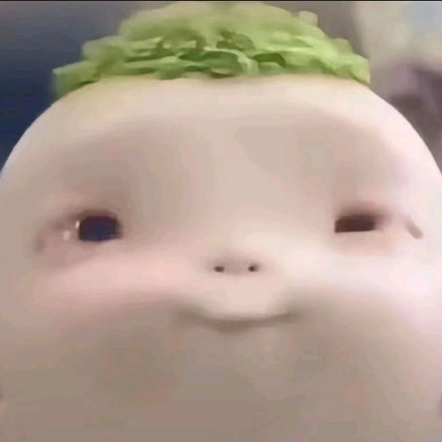 胡巴大王