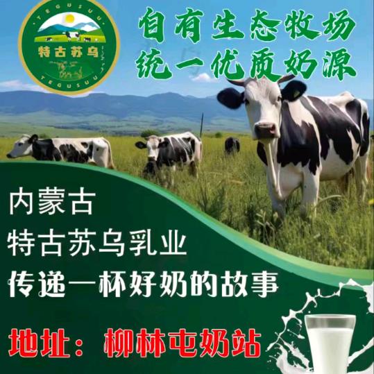 特古苏乌柳林屯代理站