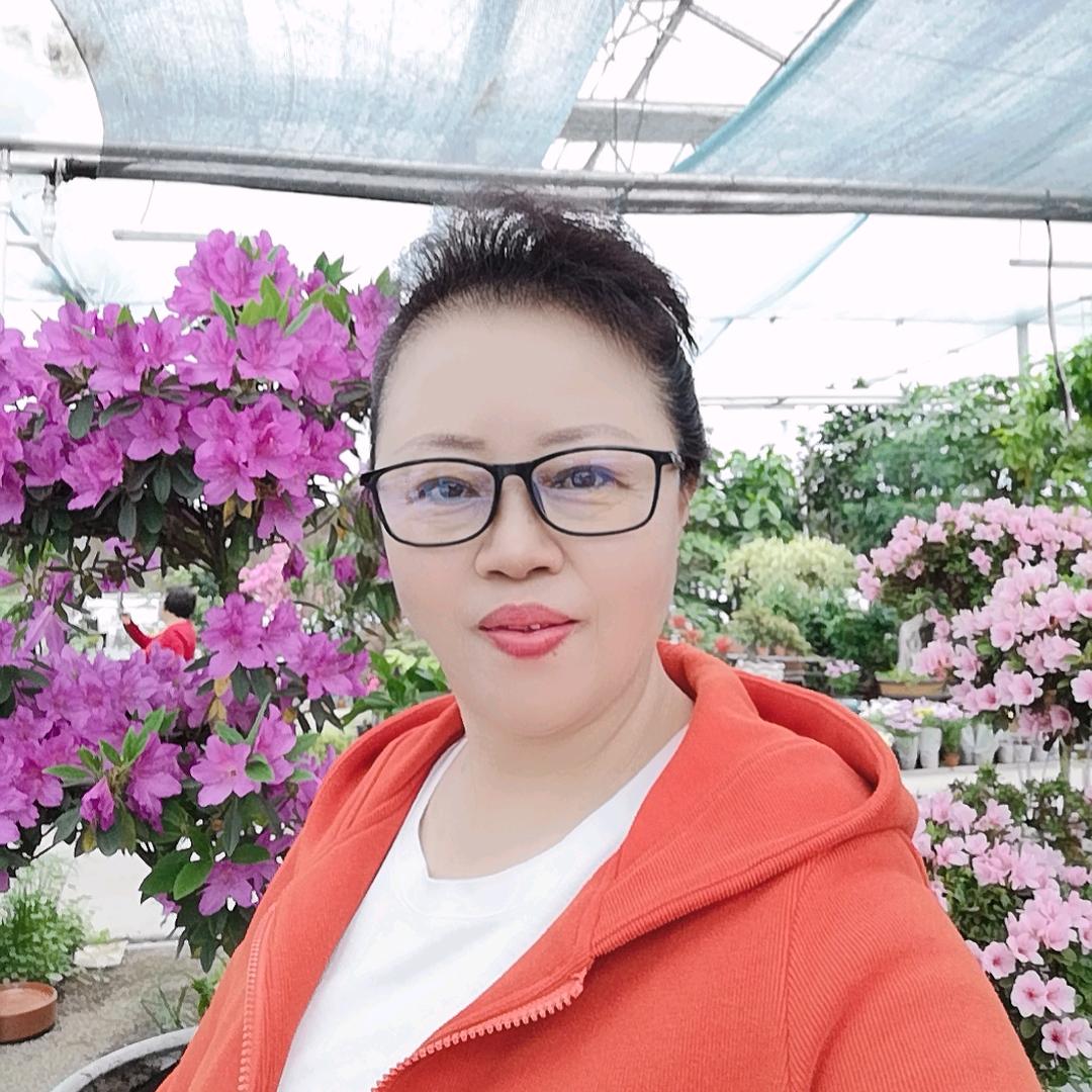 阿利的橱窗