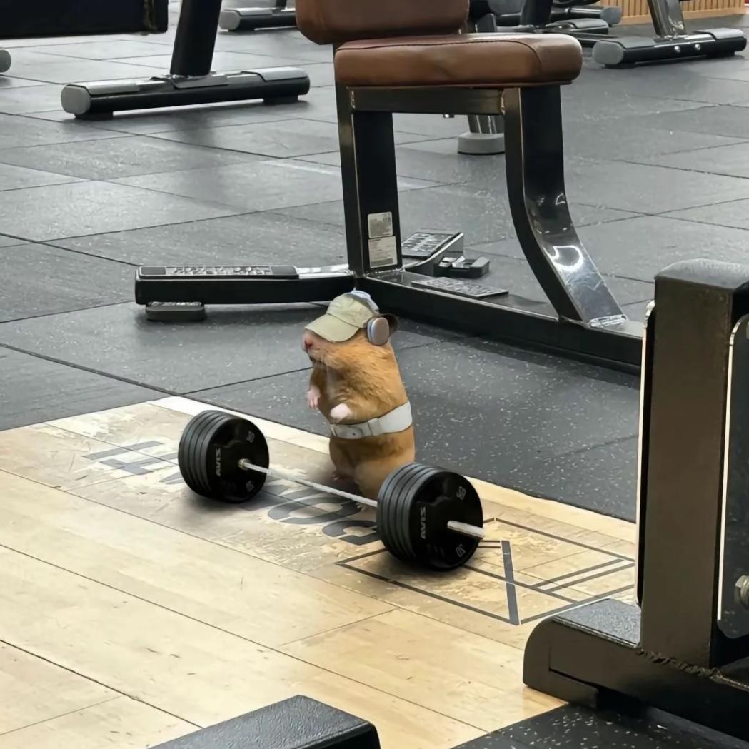嗨哥