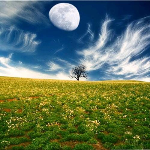 漯河市舞阳县琬健昭百货店