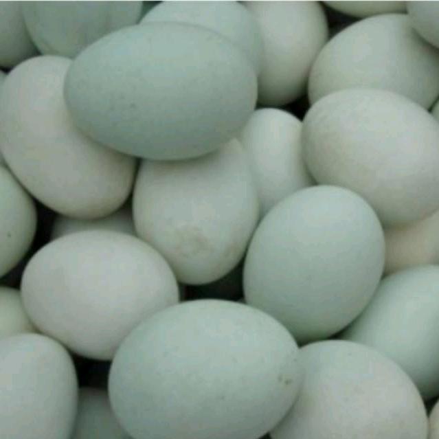 安徽欧豪《新农人》