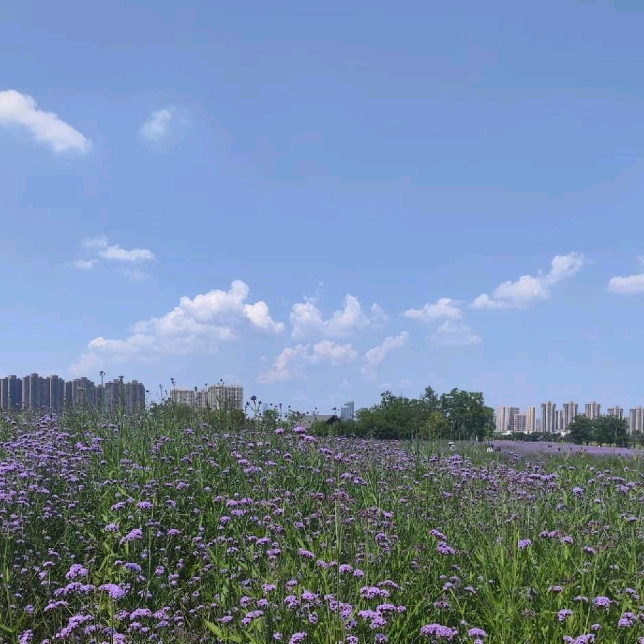 静