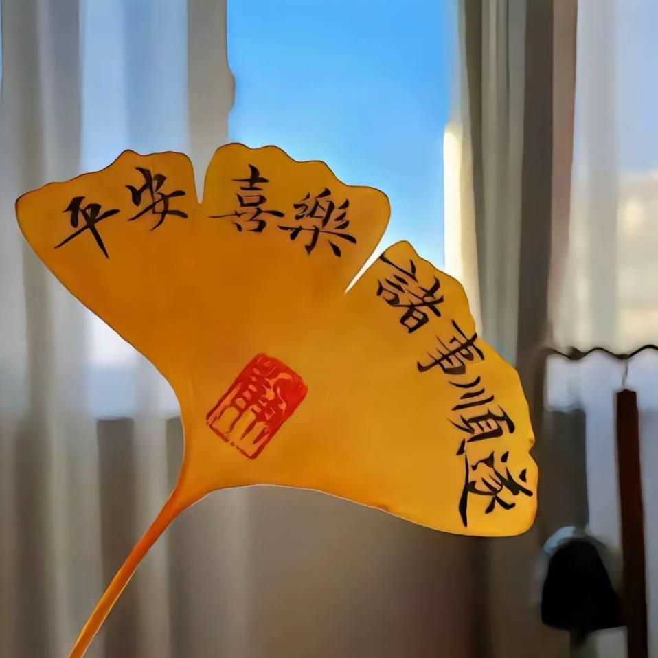 谢家小媳妇