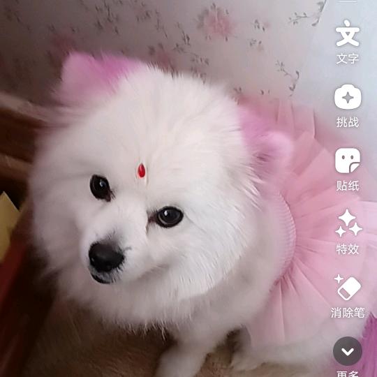 余生爱自己，做个快乐的女人。