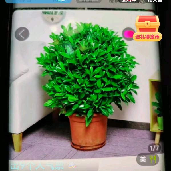 小小一个愿望
