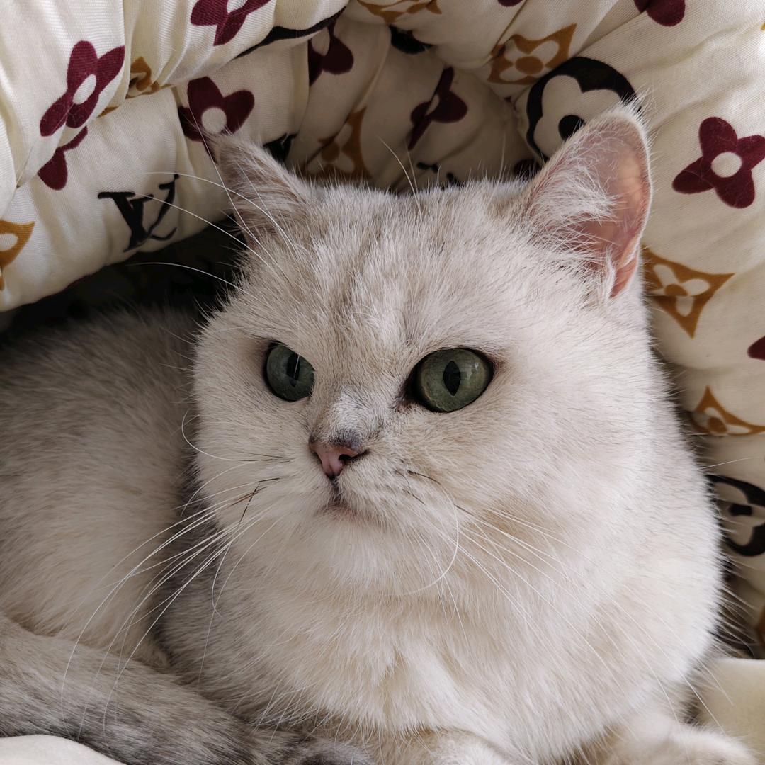 阜新同城传媒有限公司