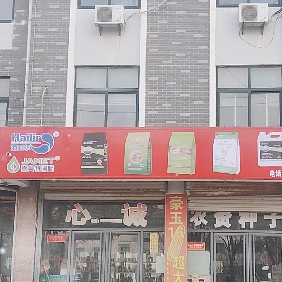 徐州大蒜高产交流（耿集真增产）