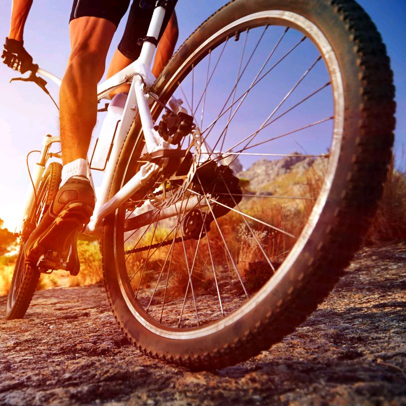 骑🚵乐无穷