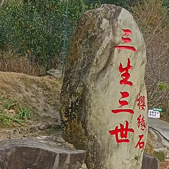 🥀不奢望承诺💞꧔ꦿ