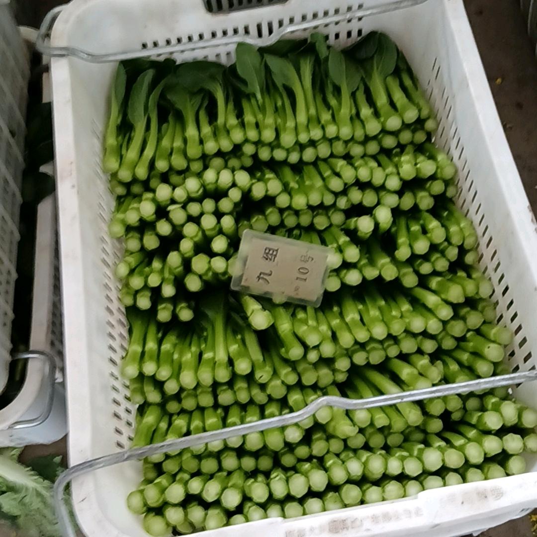 不要离开我