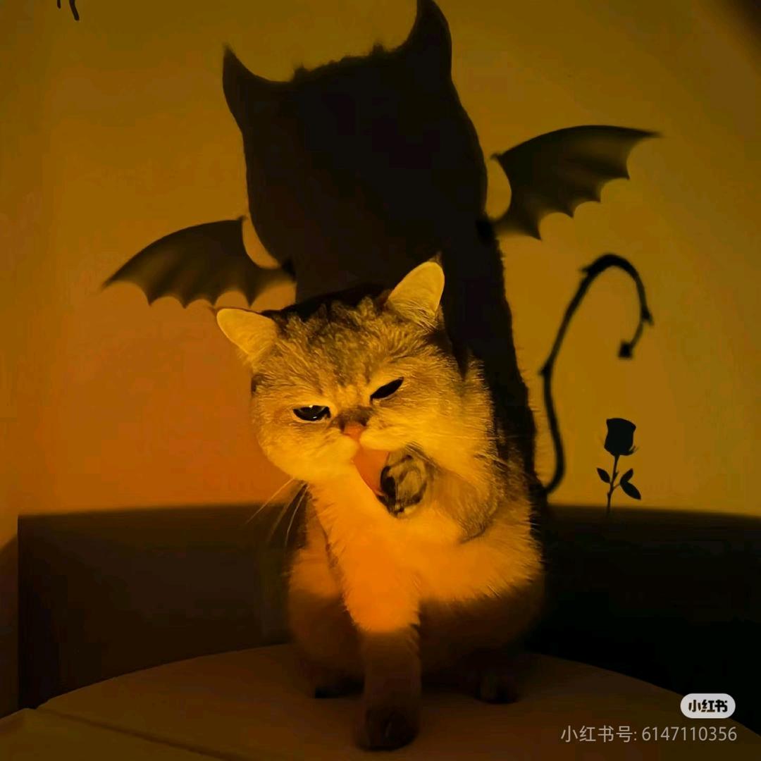十໌້ᮨ一ོ꧔ꦿ