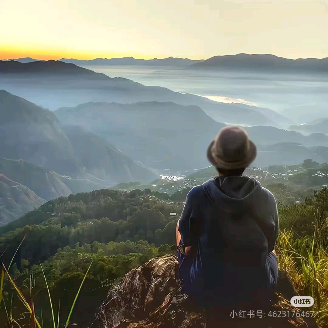 龙龙爱旅行