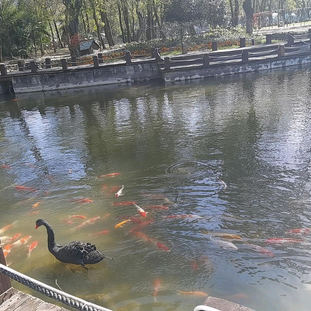 芯儿（请勿连赞）