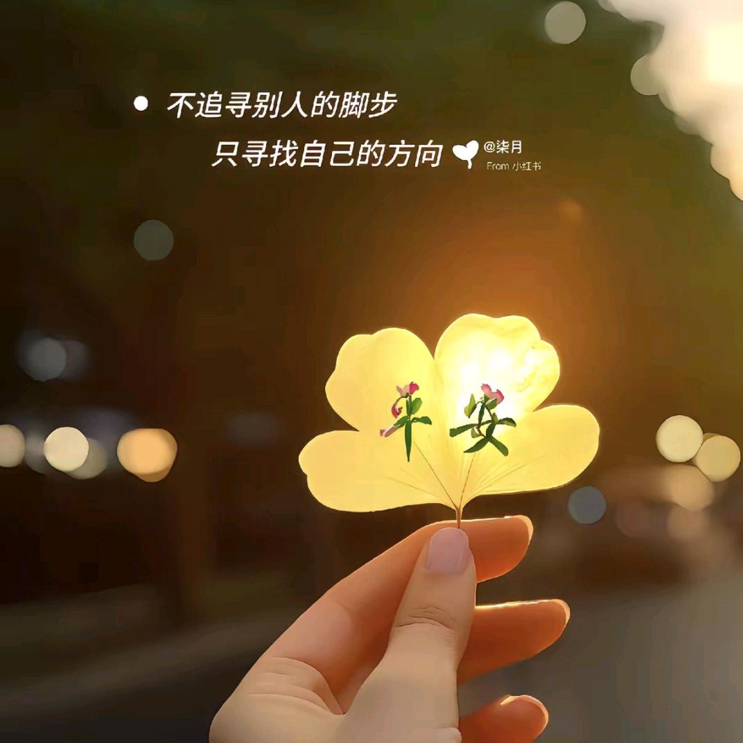 ❤️老纪美食🦋