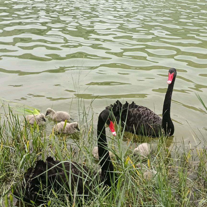静心《拒私聊》