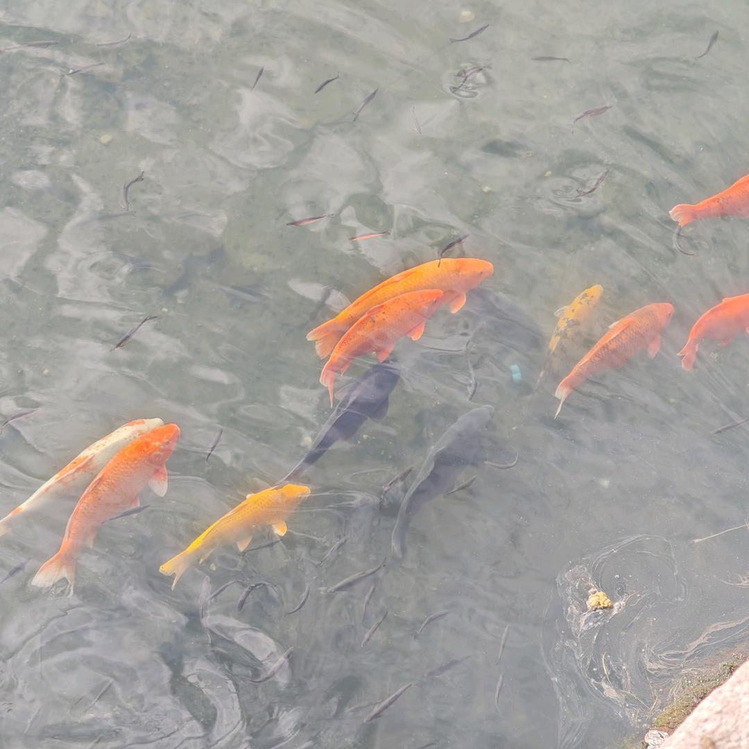 不会画眼线.