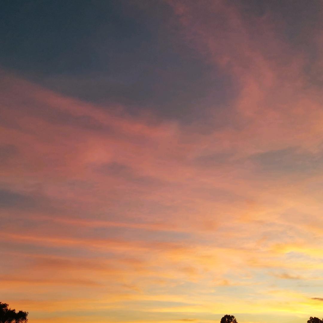 陆丰市南塘骏成建材 苏晓琳