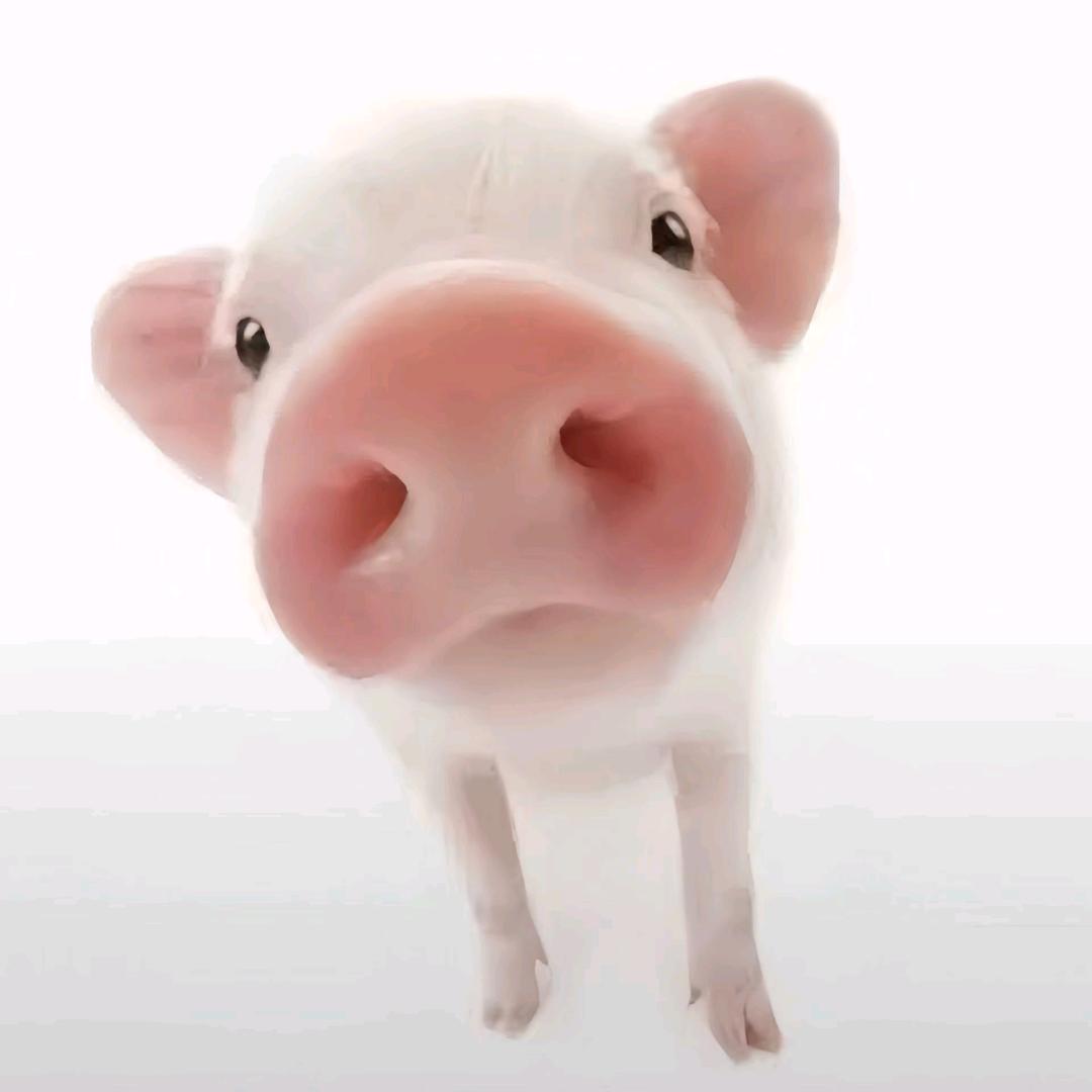什么