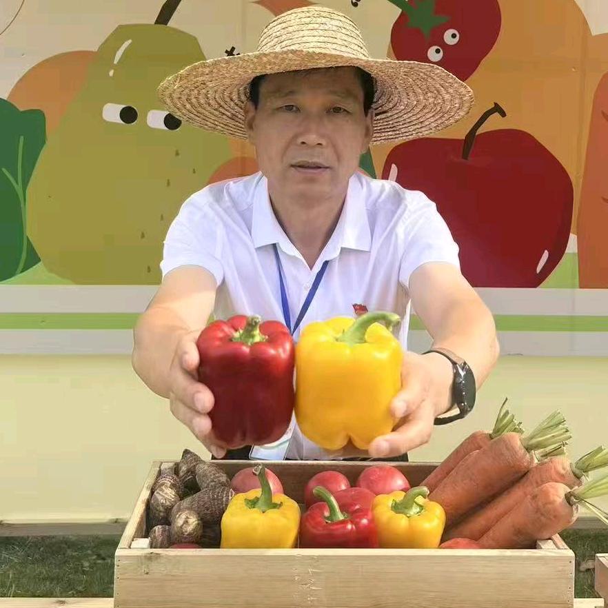 齐河草帽支书（正能量）