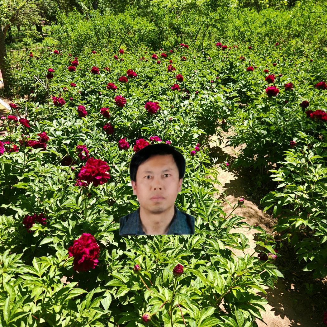 日月.