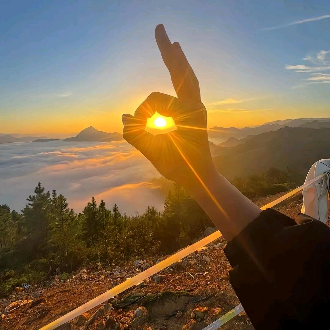 蓝桉长在洱海边🌊