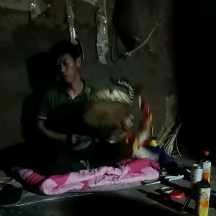 沙马铁古