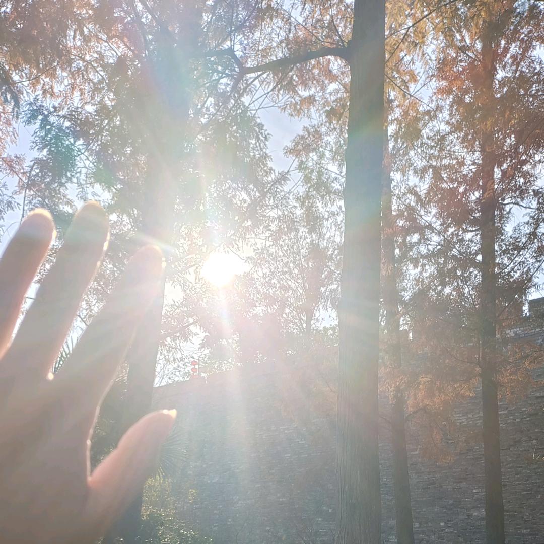 🌞🌞🌞