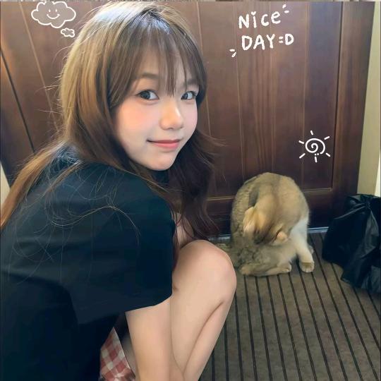 我有厌蠢症