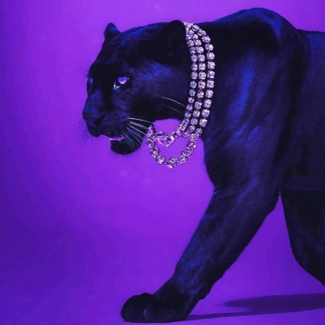 宛平南路600号金牌护工莉莉丝