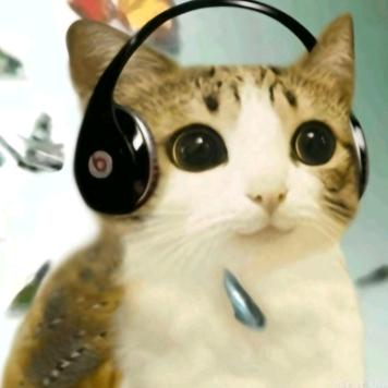 🍉🧀🥘🥗🍔🍪🍩🎂🍭🧁