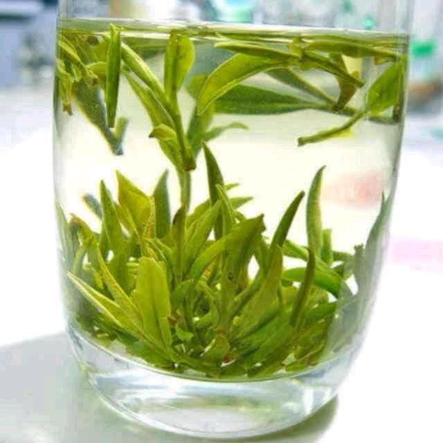 清清兰草香