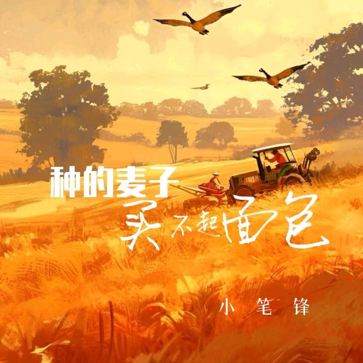 至味清欢