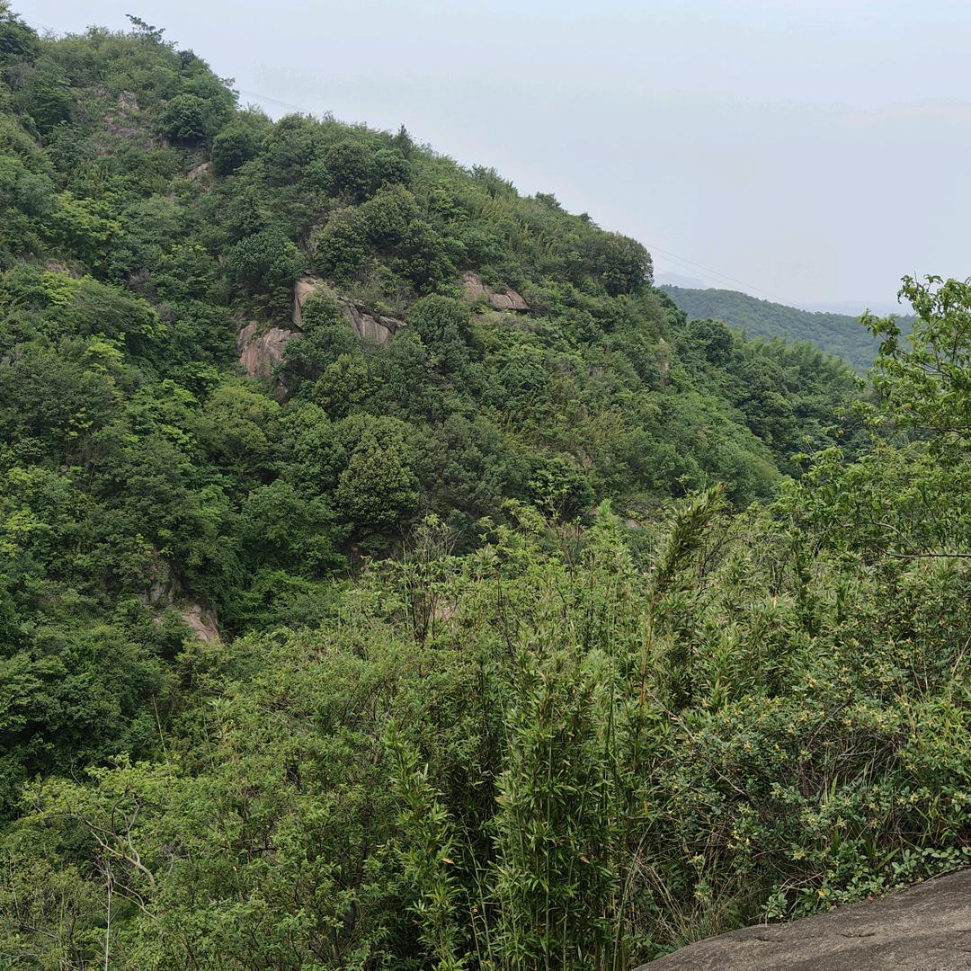 JINGZHAN