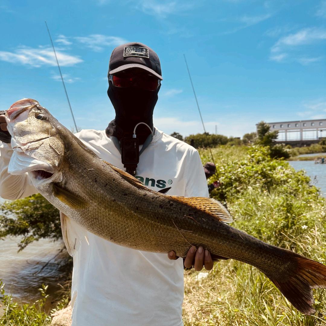 小章的路亚日常🎣