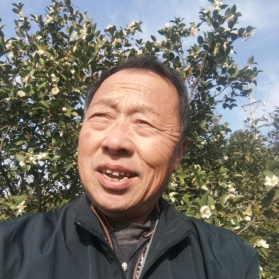 大悟老胡山茶油店