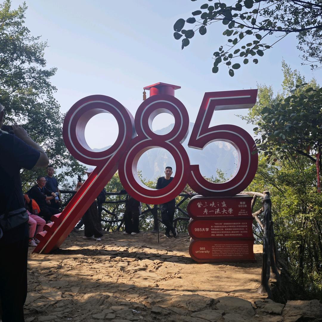 老虎乖乖