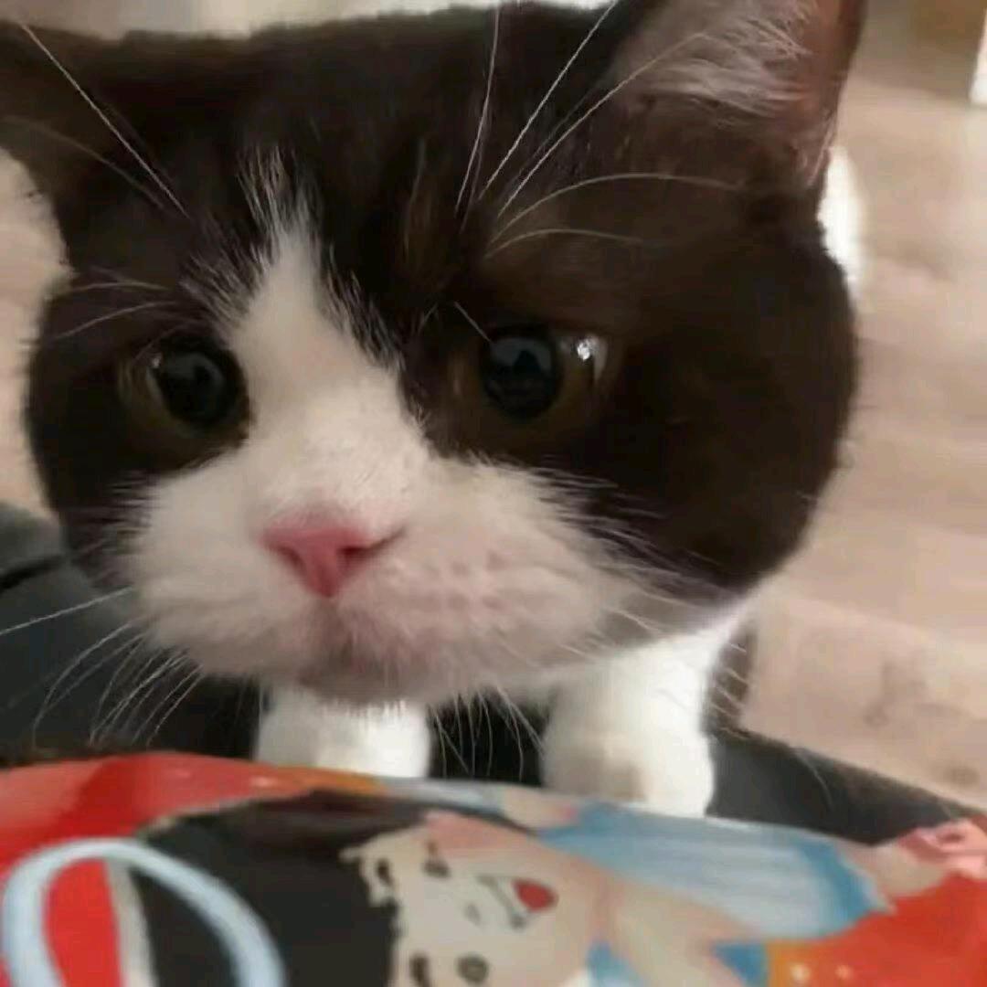 cYu