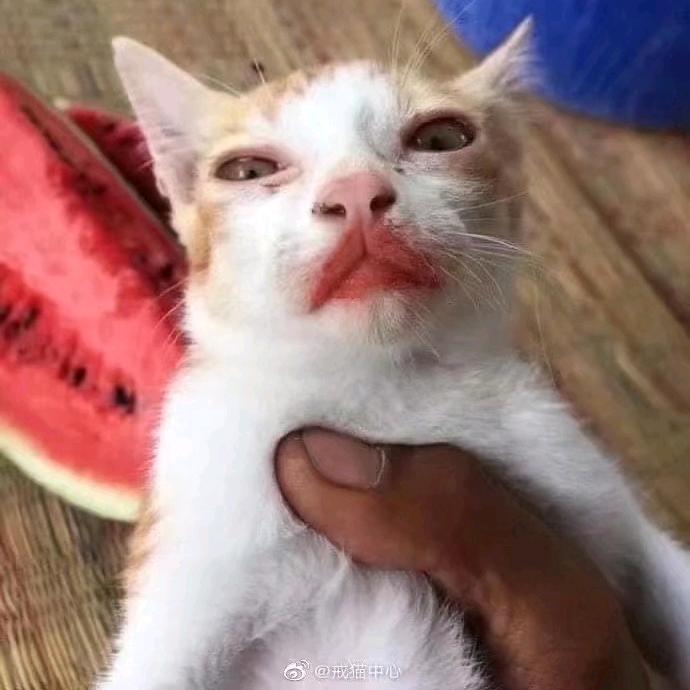 kkkkkk