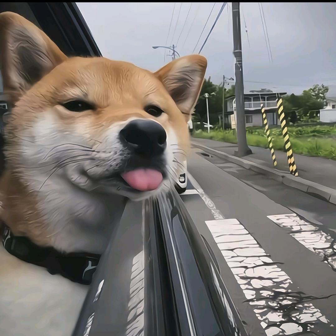 _冬