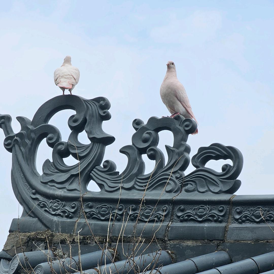 孺子可教