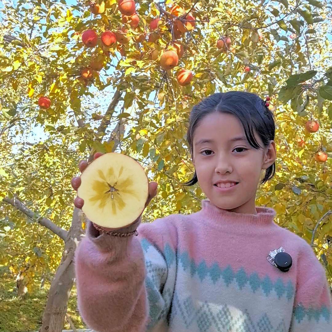 新疆阿克苏冰糖心苹果小姐姐