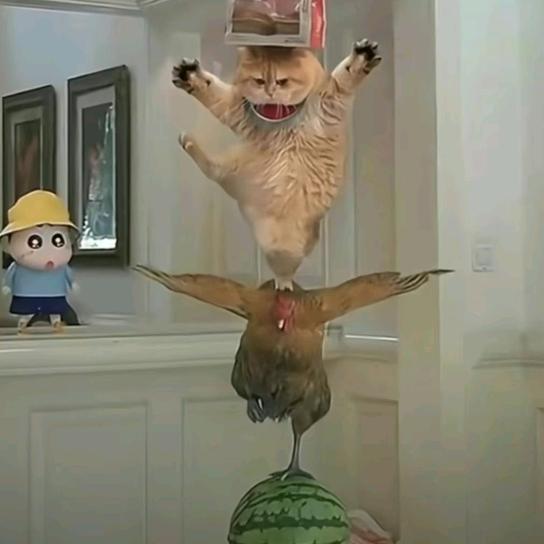 塘主